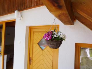Apartment Jalps 3 in beautiful Bohinjska Bistrica - Bohinj - 8