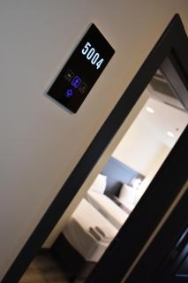 Shishly Palace Hotel - 1