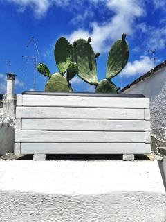 Mameli 24 - Ostuni - 6