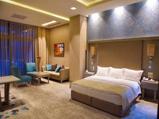 Qafqaz Tufandag Mountain Resort Hotel - Gabala - 5