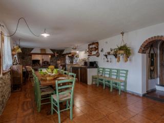 Villa near Montecchio Vespoli with Pool - Castiglion Fiorentino - 7
