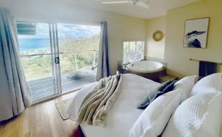 Shore Bird On Moreton - Tangalooma - 0