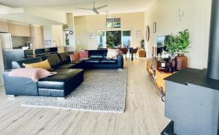 Shore Bird On Moreton - Tangalooma - 9