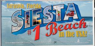 Luxury 3BD house, Siesta Key Beach - Sarasota - 4