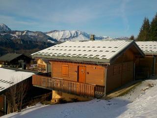 Chalet Savoyard 8 pers, proche pistes, parking - FR-1-733-1 - Crest-Voland - 3