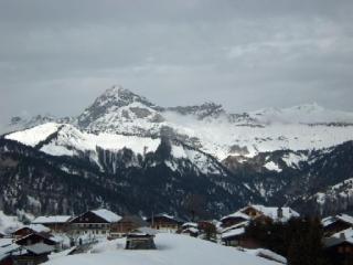 Duplex agréable 8 pers à 100m des pistes - FR-1-733-95 - 2