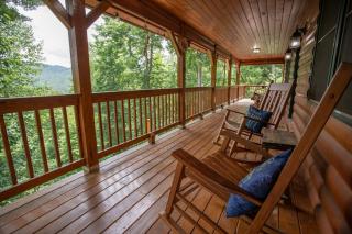 Livin the Dream - Vilas - 9