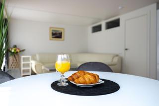 New Apt w/Terrace, By Cohost - 2