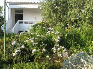 DORIS PUNTA SKALA, 2 BEDROOMS - Petrčane - 8