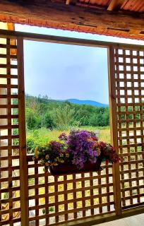 Quinta do Cabril - Serpins - 1