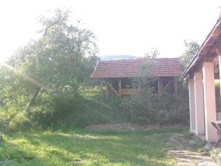 У Сергія - Lumshory - 2