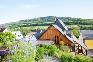 Das haus in spay an der Mosel mit Sauna - Zell an der Mosel - 2