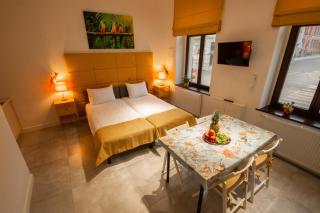 Apartament "Pod papugami" - Toruń - 9