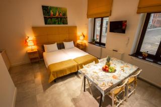 Apartament "Pod papugami" - Toruń - 1