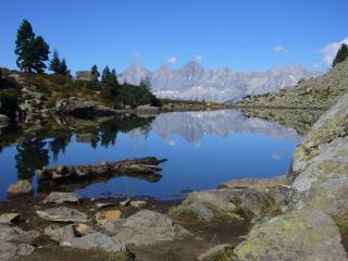 Appartements Wiesbach - Ramsau am Dachstein - 4