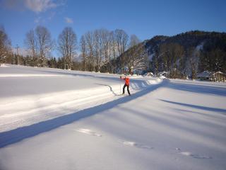 Appartements Wiesbach - Ramsau am Dachstein - 1