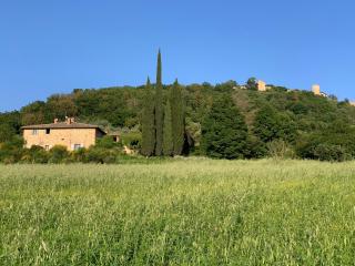 Podere FonteBernardi casa con vista su Pienza - 9