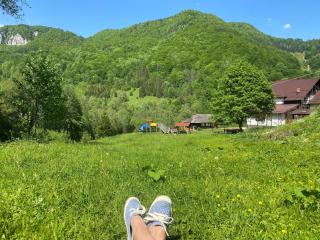 Casa de vacanta Satic Piatra Craiului La Doi viermi - Sătic - 6