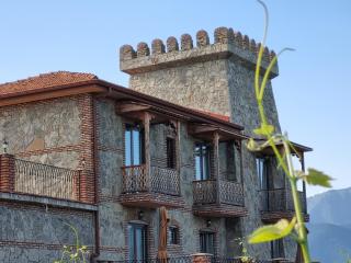 Château Davitiani - Shilda - 3