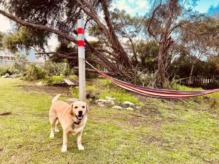 No 34 Where Nature Meets the Ocean Pet Friendly - Robe - 8