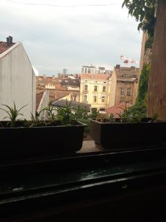 Marmelo - Belgrado - 2