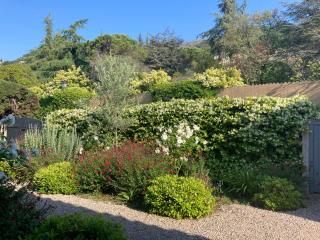 Beautiful Villa Vence Provence - Vence - 8