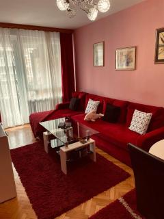 Apartment Banja Luka (City centre) - Banja Luka - 6