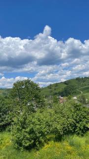 Azaliya - Lazeshchyna - 2