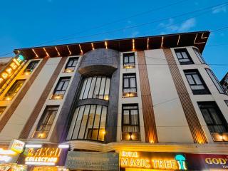 Hotel Magic Tree Karol Bagh Metro Station New Delhi - 8