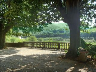 Villa Nicoletta by Interhome - Serravalle Pistoiese - 4
