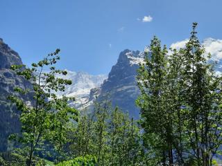 Apartment Chalet zur Höhe by Interhome - Grindelwald - 7
