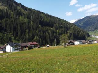 Apartment Wanglblick by Interhome - 2