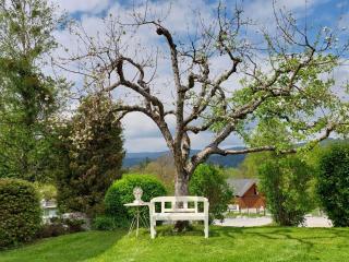 Apartment Juni-Rose by Interhome - 1