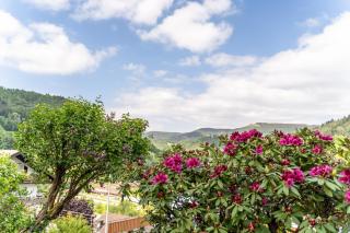 Streck - Bad Peterstal-Griesbach - 6