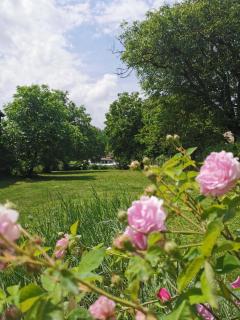 Apartmani La Grande Motte - Vrdnik - 7