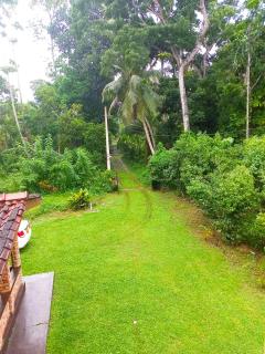 Cinnamon Villa - 7