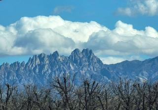 The Ritz Spa Sanctuary hot tub/patio/fam/pet - Las Cruces - 3