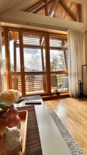 Emmy Apartman Zlatibor - Zlatibor - 7