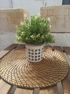 Casina Tuccia - Ostuni - 9