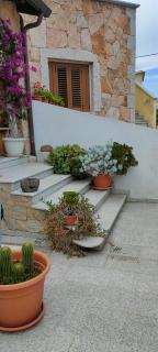 Villa Alberto - Olbia - 4