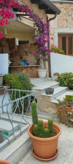 Villa Alberto - Olbia - 6