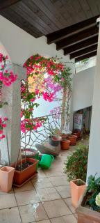 Villa Alberto - Olbia - 5