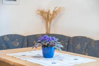 Weingartnerhof Dalia - 1