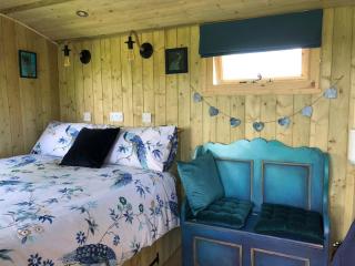 The Peacock Shepherds Hut at Hafoty Boeth - Corwen - 5