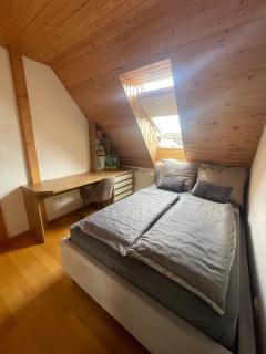 Villa Haškova with 3 bedrooms - Banská Bystrica - 1