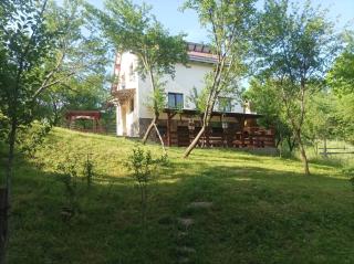 Casa Fluțar - Moisei - 7