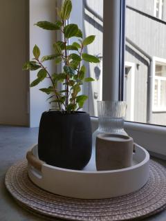 Courtyard Condo Twin - 2