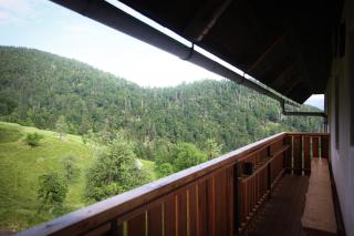 Apartma Gorski razgled - 2
