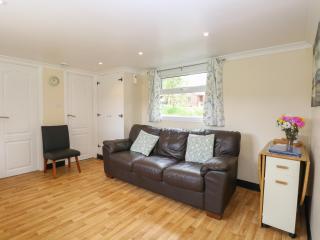 Olive - Norwich - 7