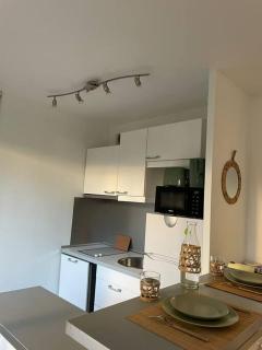 Studio 28 m2 & jardin privatif 20 m2 - Montigny-le-Bretonneux - 4